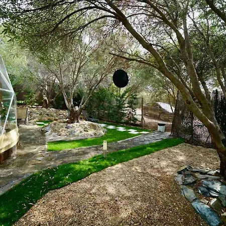 Olive Domes Nea Moudania