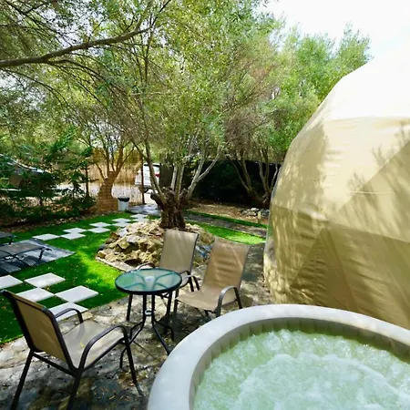 Olive Domes * Nea Moudania