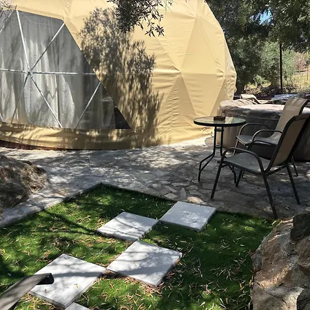 Olive Domes