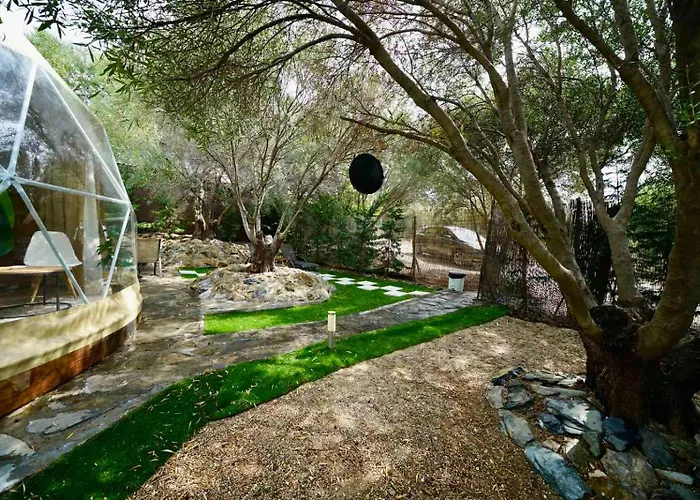 Olive Domes Nea Moudania