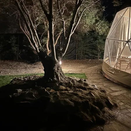 Luxe tent Olive Domes *