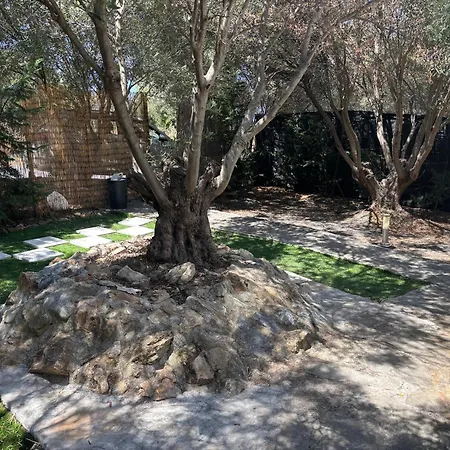 Olive Domes Nea Moudania