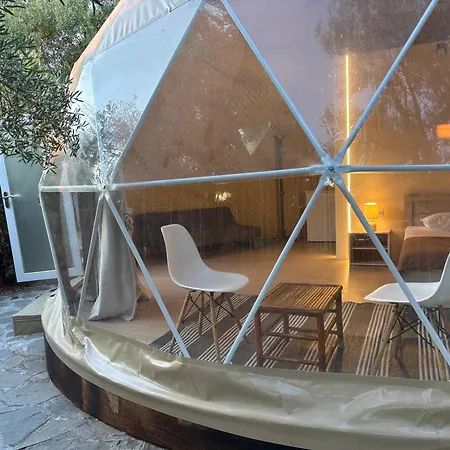 Olive Domes
