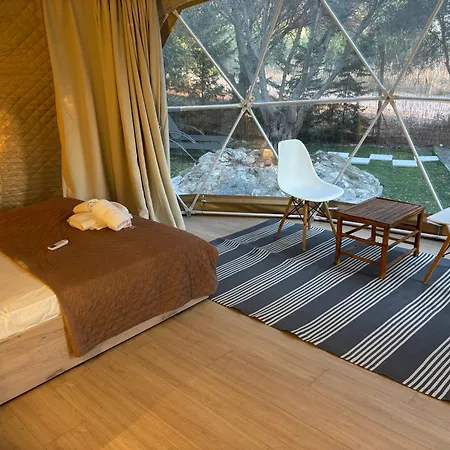 Olive Domes *